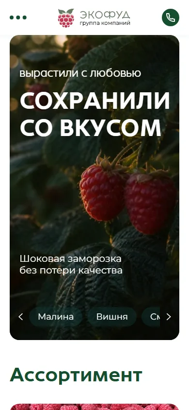 Реальная мобильная версия EFLeader.com