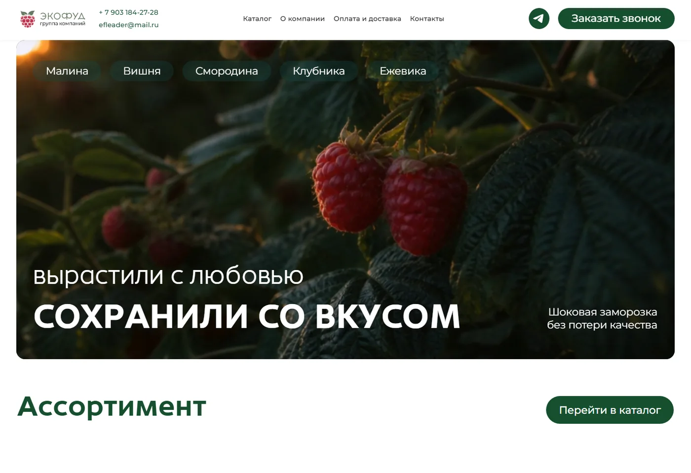 Первый экран сайта EFLeader.com